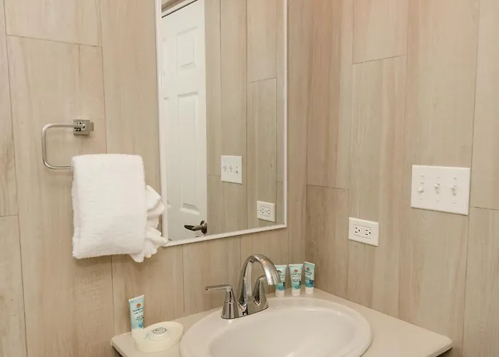 Hotel Bananas On The 3*