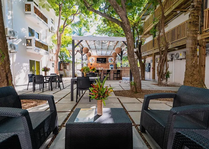 Hotel Bananas On The 3*
