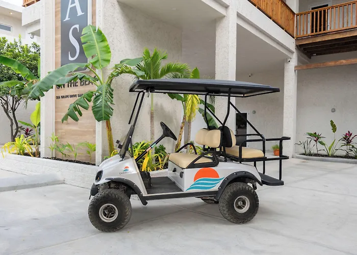 Hotel Bananas On The 3*