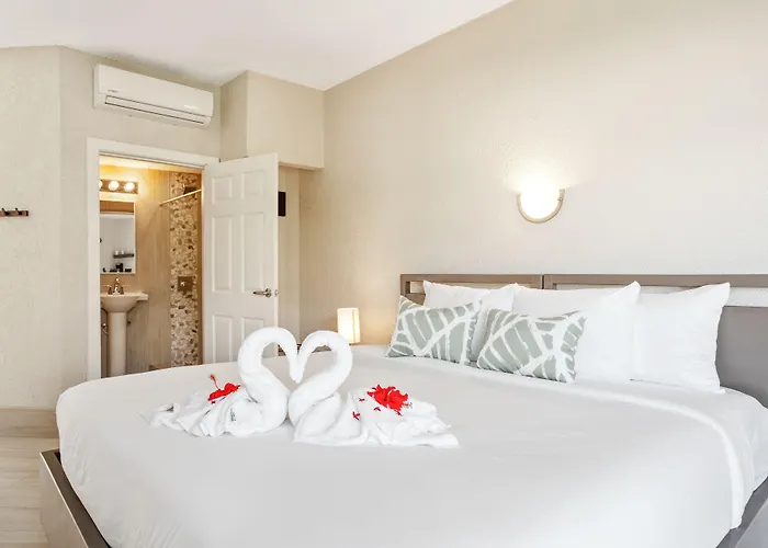 Hotel Bananas On The 3*