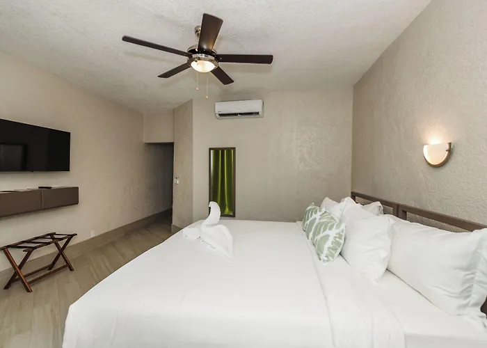 Hotel Bananas On The 3*