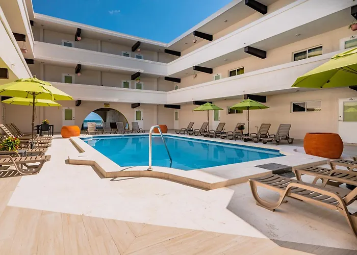 Hotel Bananas On The 3*